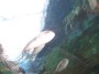 Oceanarium (10) * 2032 x 1524 * (379KB)